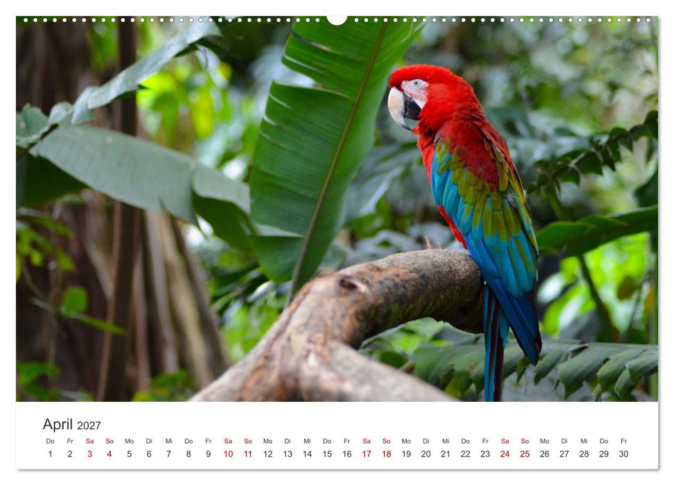 Kolumbien - Eine unvergessliche Reise durch das bunte Land. (CALVENDO Premium Wandkalender 2027)