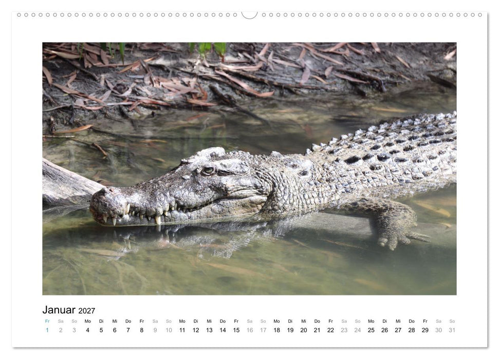 Traumziel Australien - Faszinierende Tierwelt 2027 (CALVENDO Premium Wandkalender 2027)