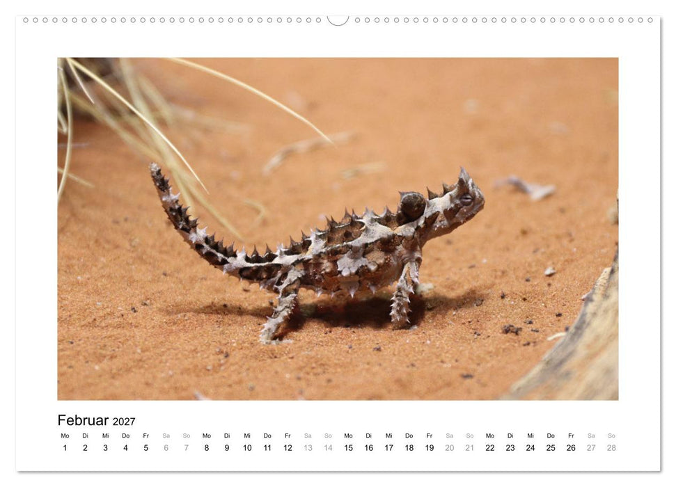 Traumziel Australien - Faszinierende Tierwelt 2027 (CALVENDO Premium Wandkalender 2027)