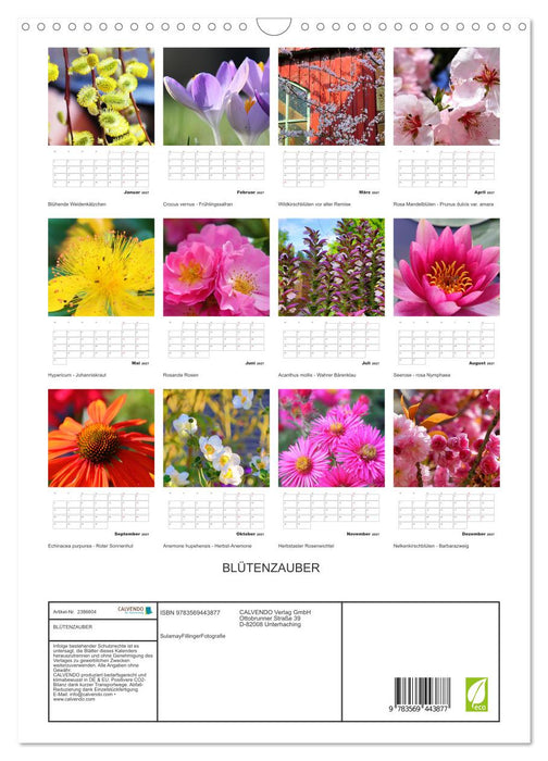 BLÜTENZAUBER (CALVENDO Wandkalender 2027)