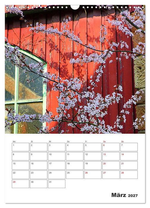 BLÜTENZAUBER (CALVENDO Wandkalender 2027)