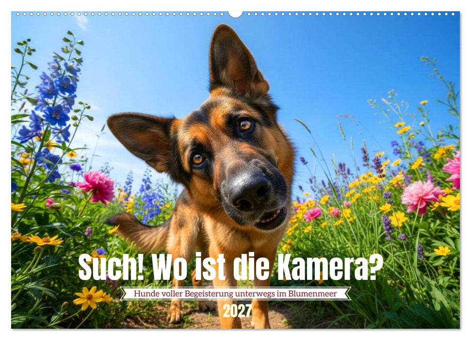 Such! Wo ist die Kamera? (CALVENDO Wandkalender 2027)