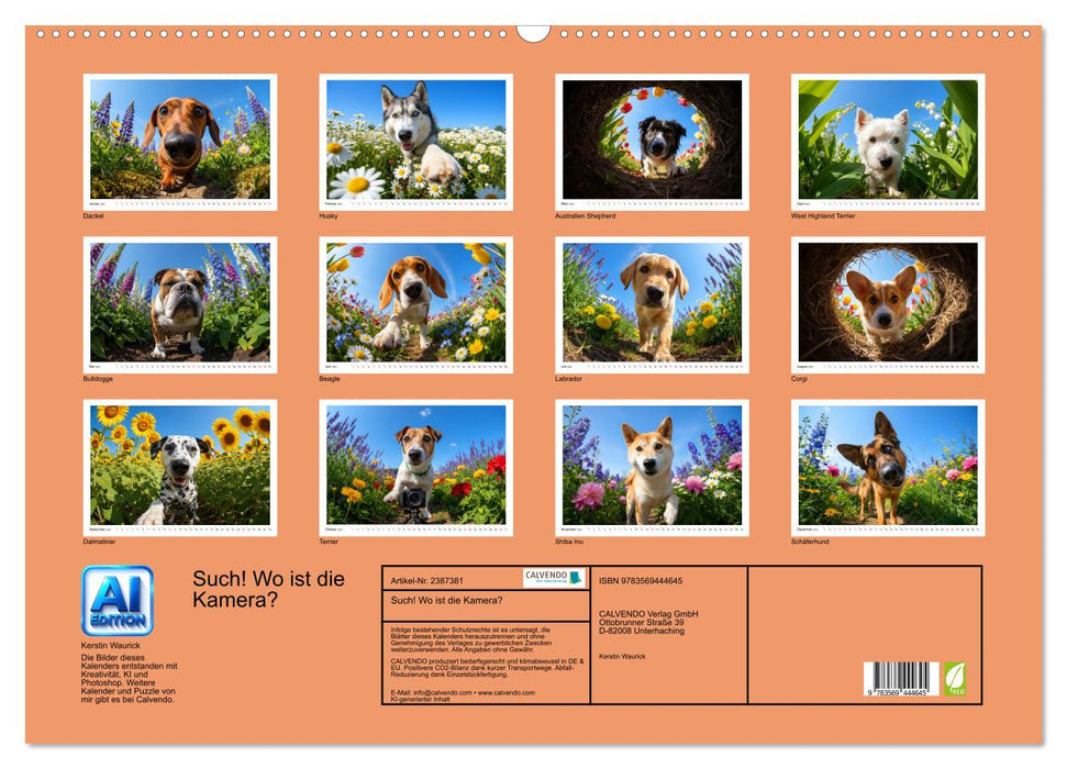 Such! Wo ist die Kamera? (CALVENDO Wandkalender 2027)