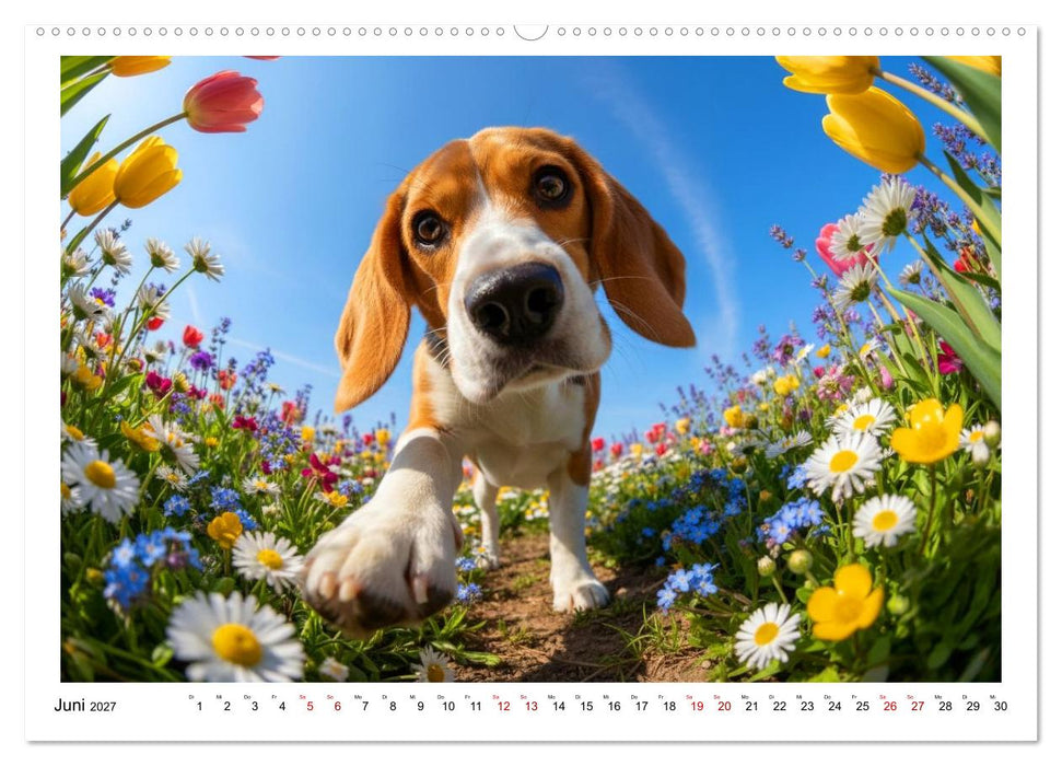 Such! Wo ist die Kamera? (CALVENDO Wandkalender 2027)