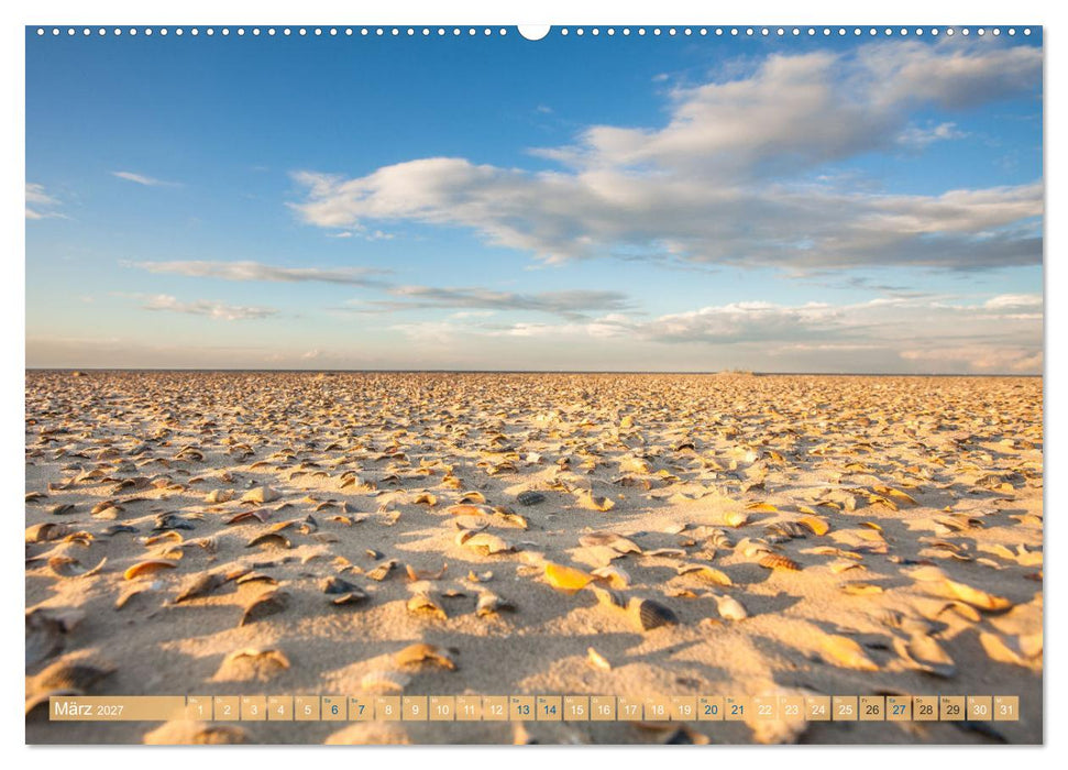 Moin Spiekeroog (CALVENDO Premium Wandkalender 2027)
