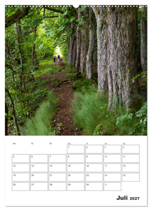 Wittgenstein – Eine Region mit beeindruckend schöner Landschaft (CALVENDO Premium Wandkalender 2027)
