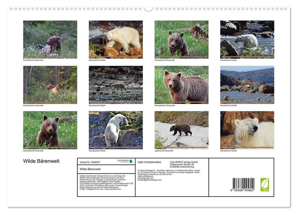Wilde Bärenwelt (CALVENDO Wandkalender 2027)