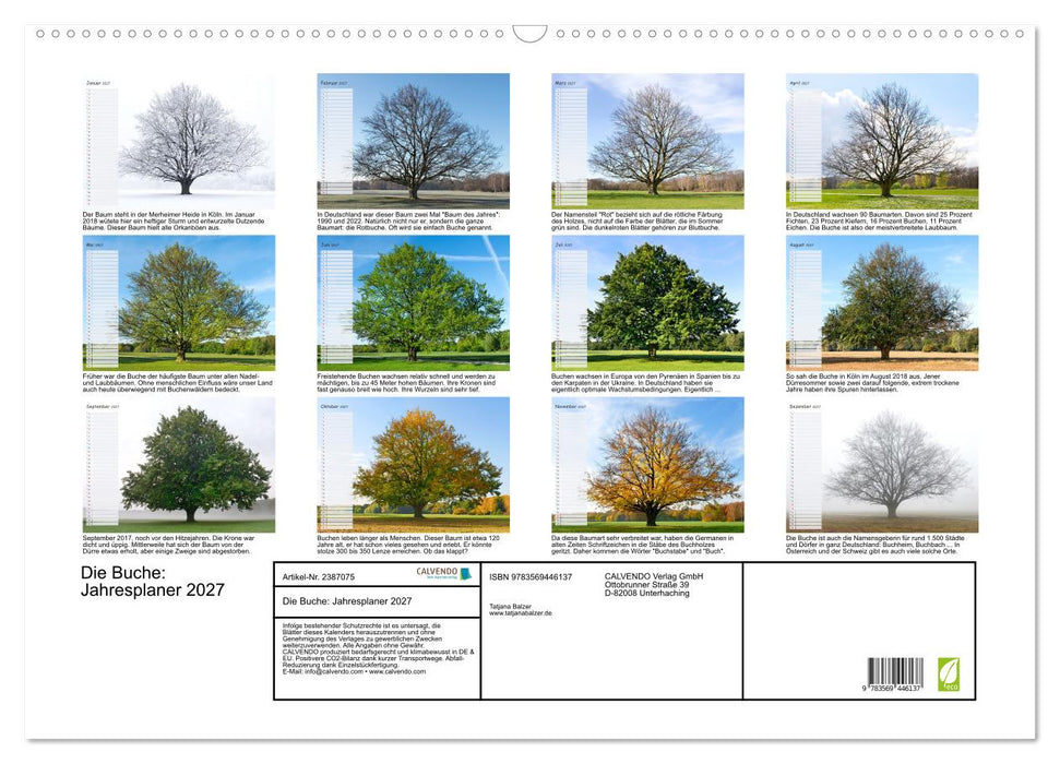 Die Buche: Jahresplaner 2027 (CALVENDO Wandkalender 2027)