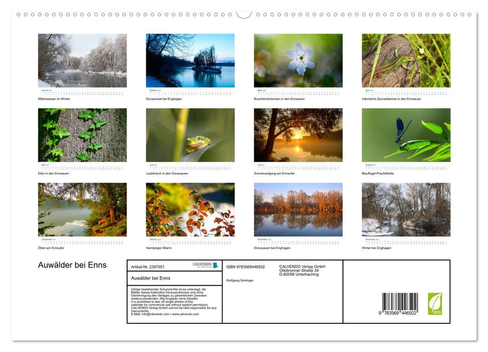 Auwälder bei Enns (CALVENDO Wandkalender 2027)