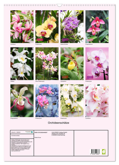 Orchideenschätze (CALVENDO Wandkalender 2027)