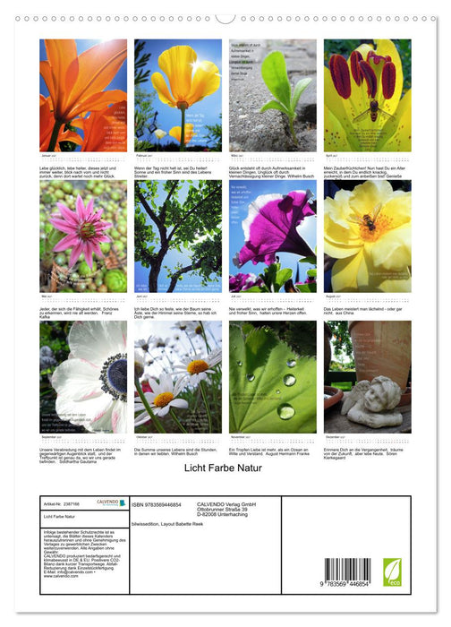 Licht Farbe Natur (CALVENDO Premium Wandkalender 2027)