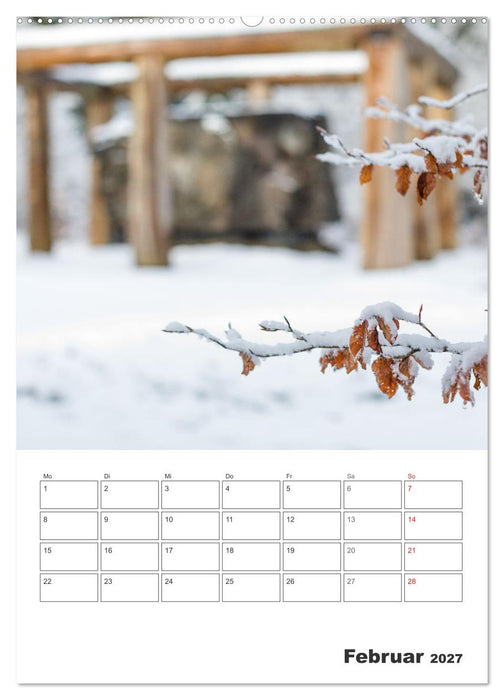 Wittgenstein – Eine Region mit beeindruckend schöner Landschaft (CALVENDO Wandkalender 2027)