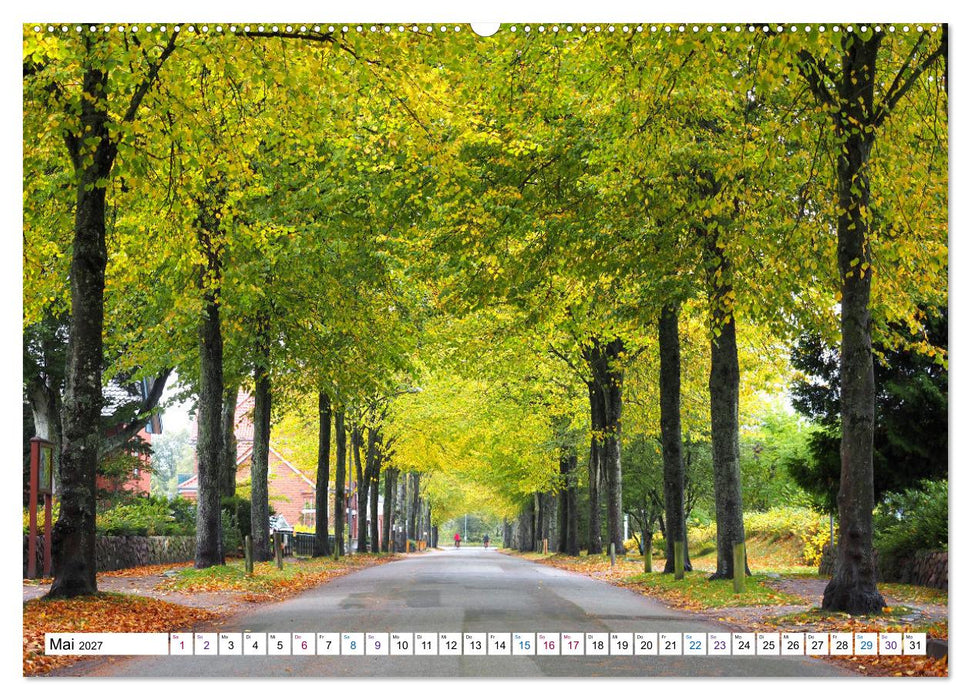 Föhr - Wasser Landschaft Wind und Meer (CALVENDO Wandkalender 2027)
