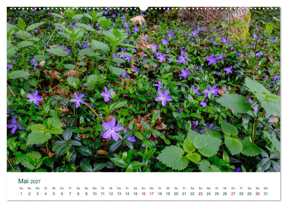 Feldaisttal bei Pregarten (CALVENDO Wandkalender 2027)