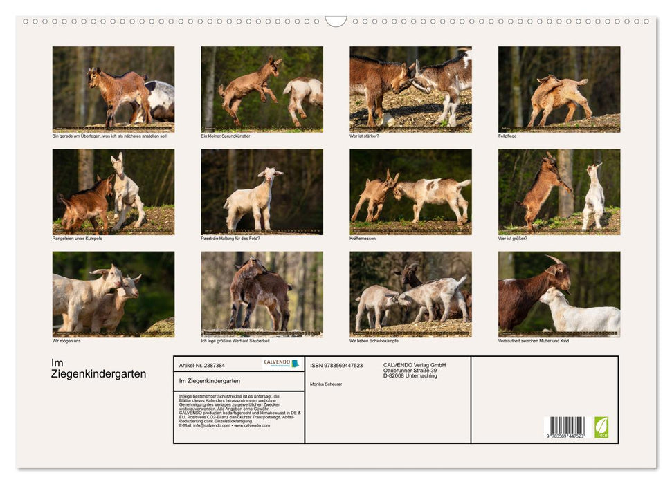 Im Ziegenkindergarten (CALVENDO Wandkalender 2027)