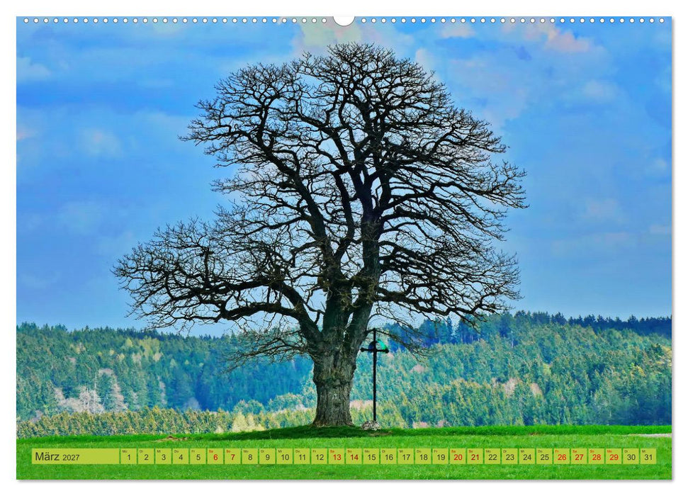 Die Stauden, Naturpark in den westlichen Wälder Augsburgs (CALVENDO Wandkalender 2027)