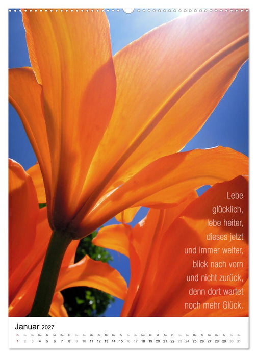 Licht Farbe Natur (CALVENDO Wandkalender 2027)