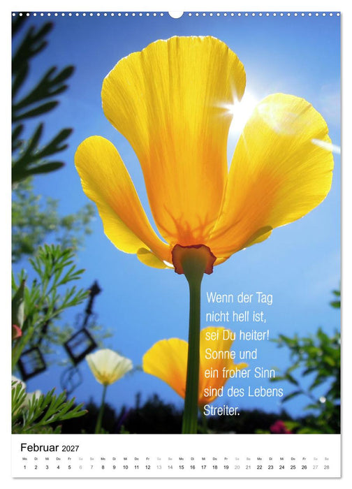 Licht Farbe Natur (CALVENDO Wandkalender 2027)