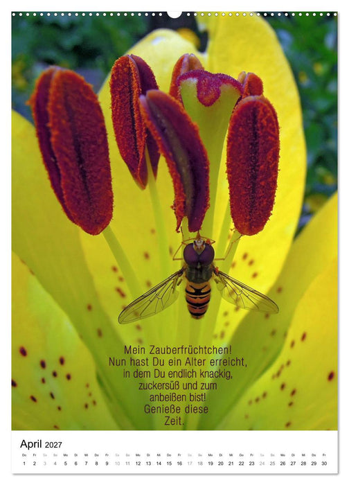 Licht Farbe Natur (CALVENDO Wandkalender 2027)