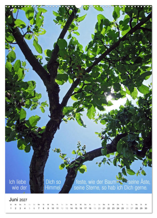 Licht Farbe Natur (CALVENDO Wandkalender 2027)