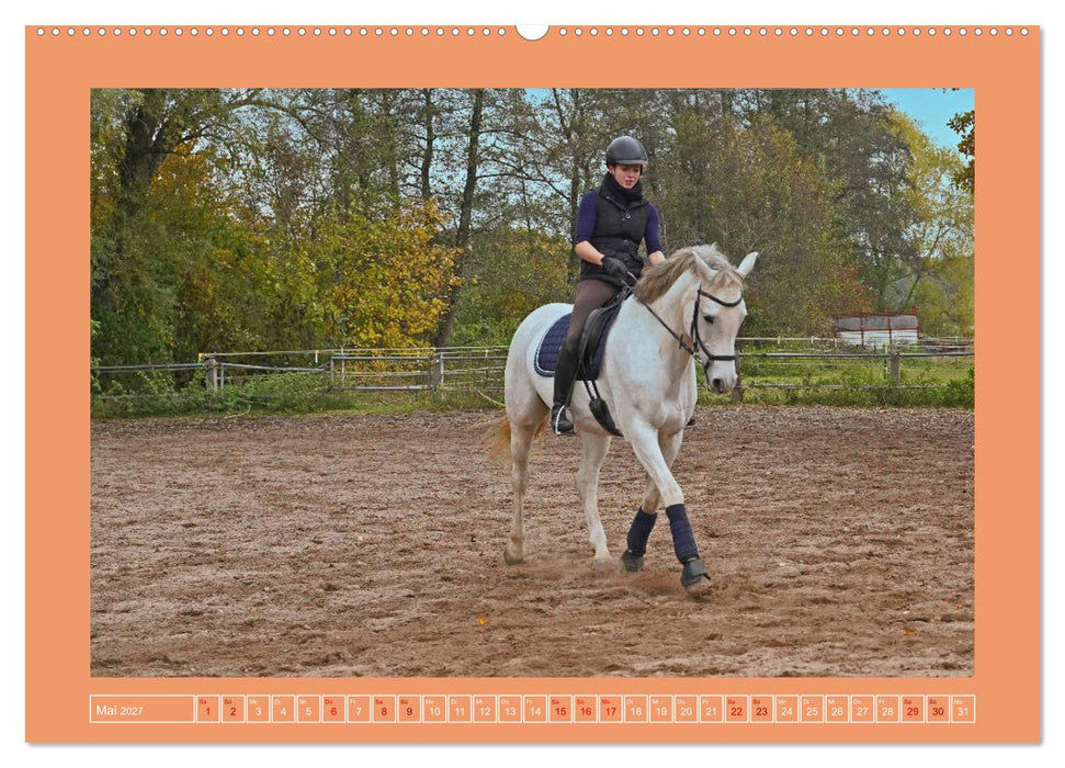 Faszination Schimmel (CALVENDO Wandkalender 2027)