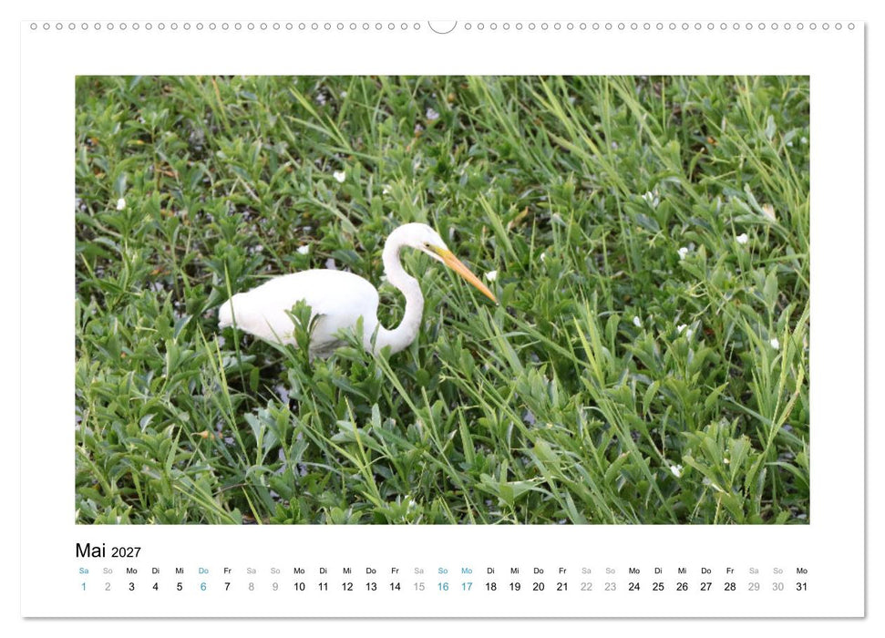 Traumziel Australien - Faszinierende Tierwelt 2027 (CALVENDO Wandkalender 2027)