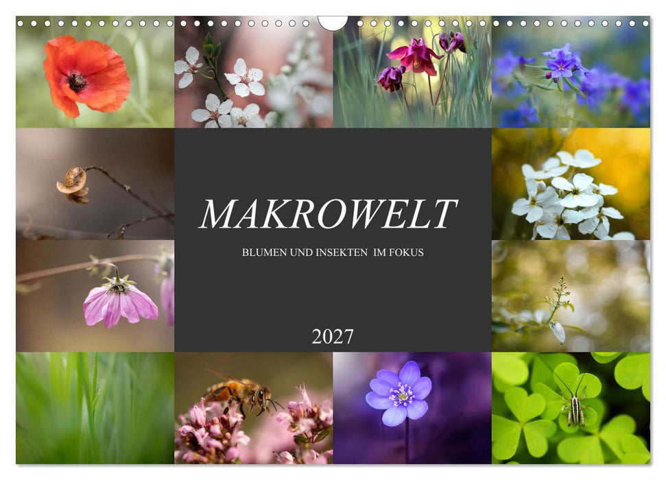 Makrowelt - Blumen und Insekten im Fokus (CALVENDO Wandkalender 2027)