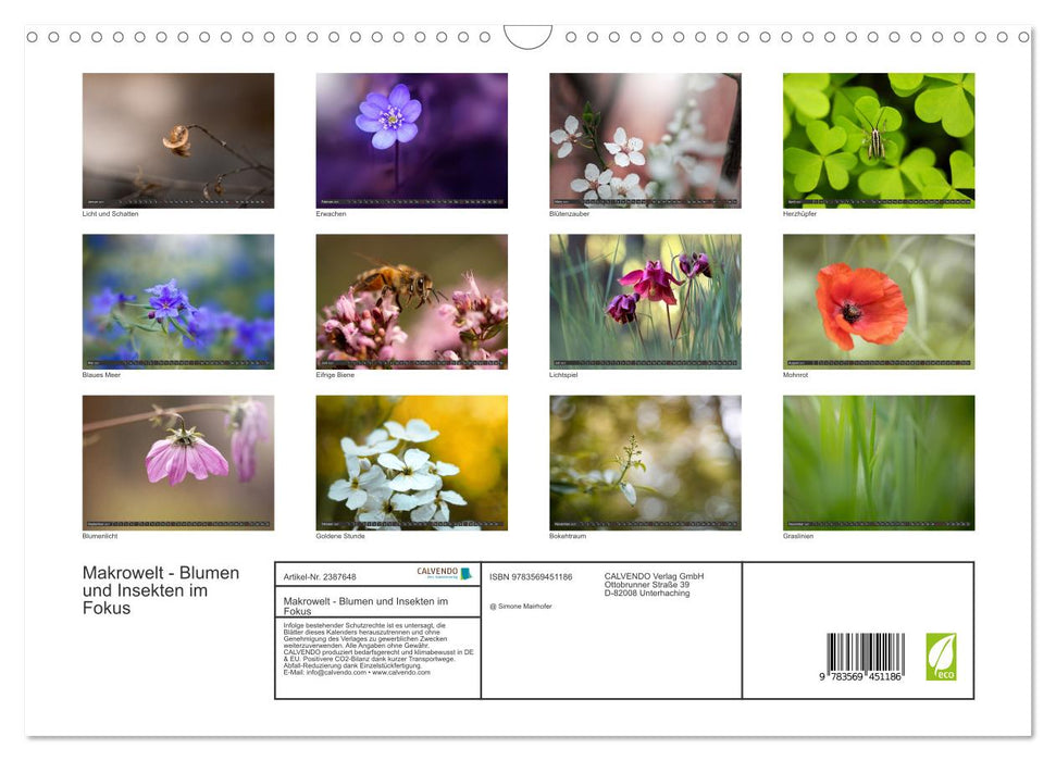 Makrowelt - Blumen und Insekten im Fokus (CALVENDO Wandkalender 2027)