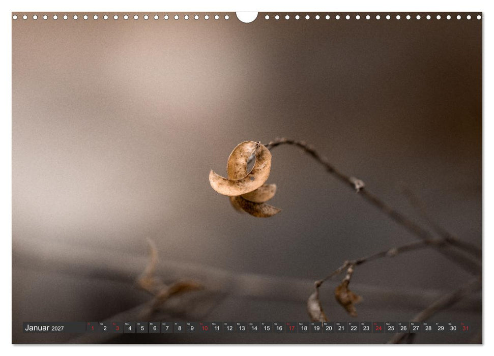 Makrowelt - Blumen und Insekten im Fokus (CALVENDO Wandkalender 2027)