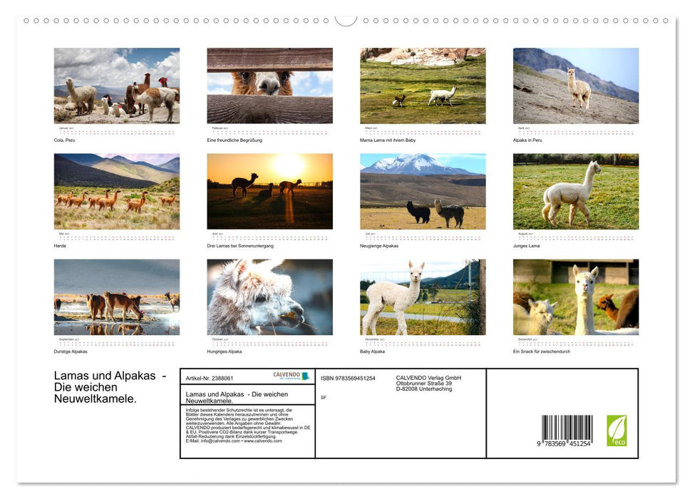 Lamas und Alpakas - Die weichen Neuweltkamele. (CALVENDO Wandkalender 2027)