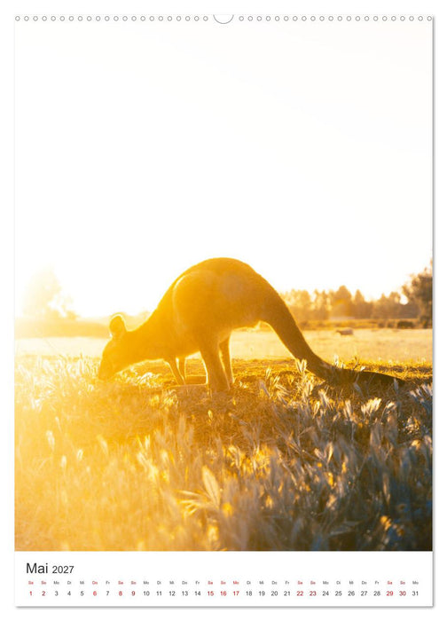 Australien - Eine unvergessliche Reise. (CALVENDO Premium Wandkalender 2027)