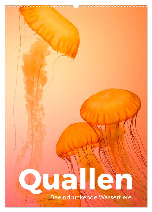 Quallen - Beeindruckende Wassertiere (CALVENDO Wandkalender 2027)