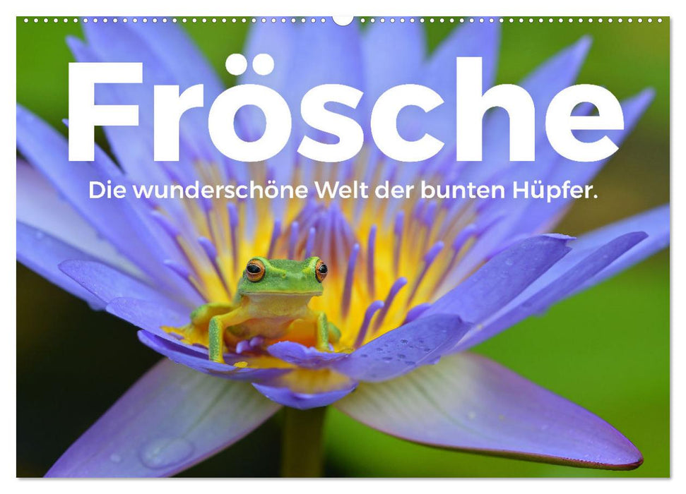 Frösche - Die wunderschöne Welt der bunten Hüpfer. (CALVENDO Wandkalender 2027)