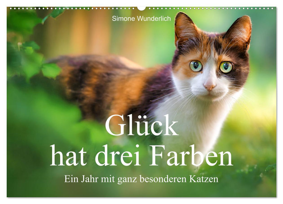 Glück hat drei Farben - ein Jahr mit ganz besonderen Katzen (CALVENDO Wandkalender 2027)