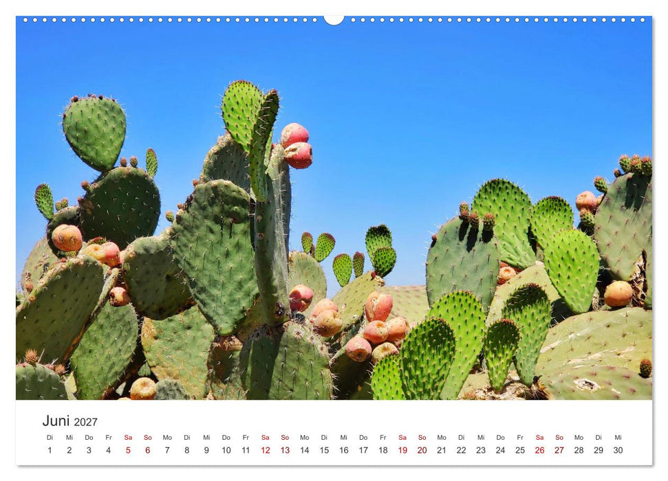 Mexiko - Eine Reise durch ein farbenfrohes Land. (CALVENDO Wandkalender 2027)