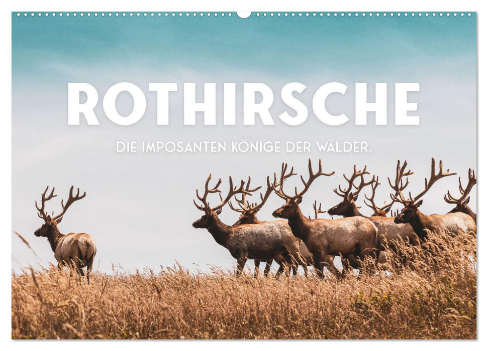 Rothirsche - Die imposanten Könige der Wälder. (CALVENDO Wandkalender 2027)