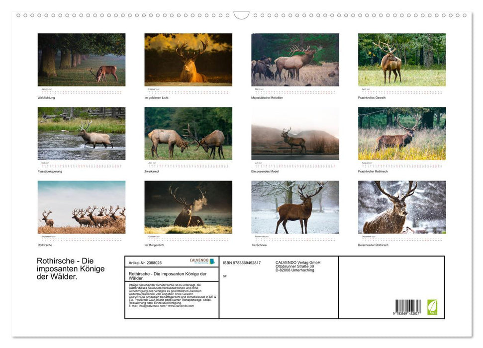 Rothirsche - Die imposanten Könige der Wälder. (CALVENDO Wandkalender 2027)