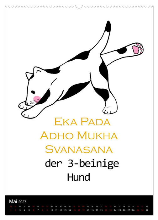 Yogakatzen - ganz entspannt im Hier und Jetzt (CALVENDO Premium Wandkalender 2027)