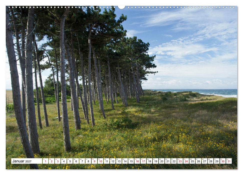 Rügen und Hiddensee - Momente einer Reise (CALVENDO Wandkalender 2027)