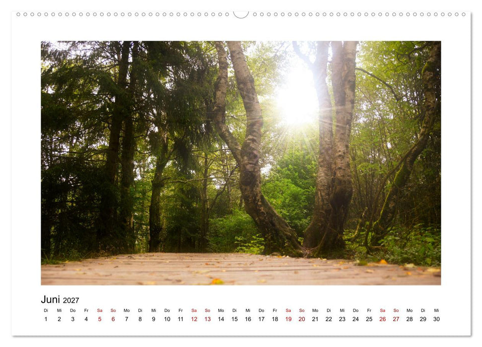 Stimmungsvolle Rhön (CALVENDO Premium Wandkalender 2027)