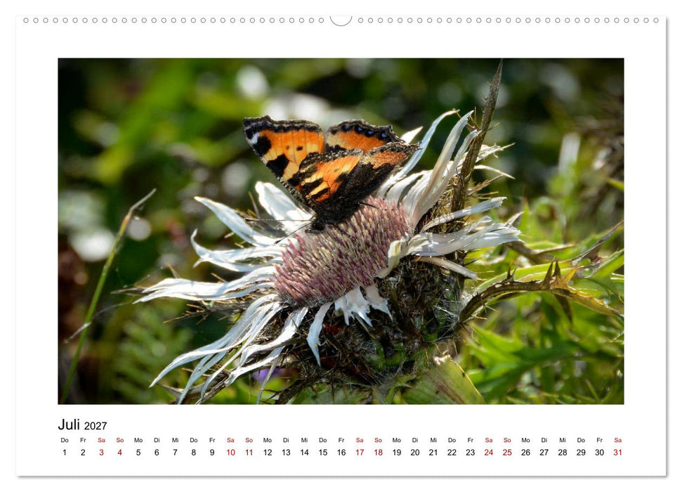Stimmungsvolle Rhön (CALVENDO Premium Wandkalender 2027)