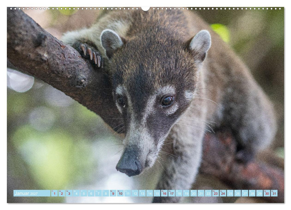 Mexiko - Die wunderschöne Halbinsel Yucatán Fotokalender 2027 (CALVENDO Wandkalender 2027)