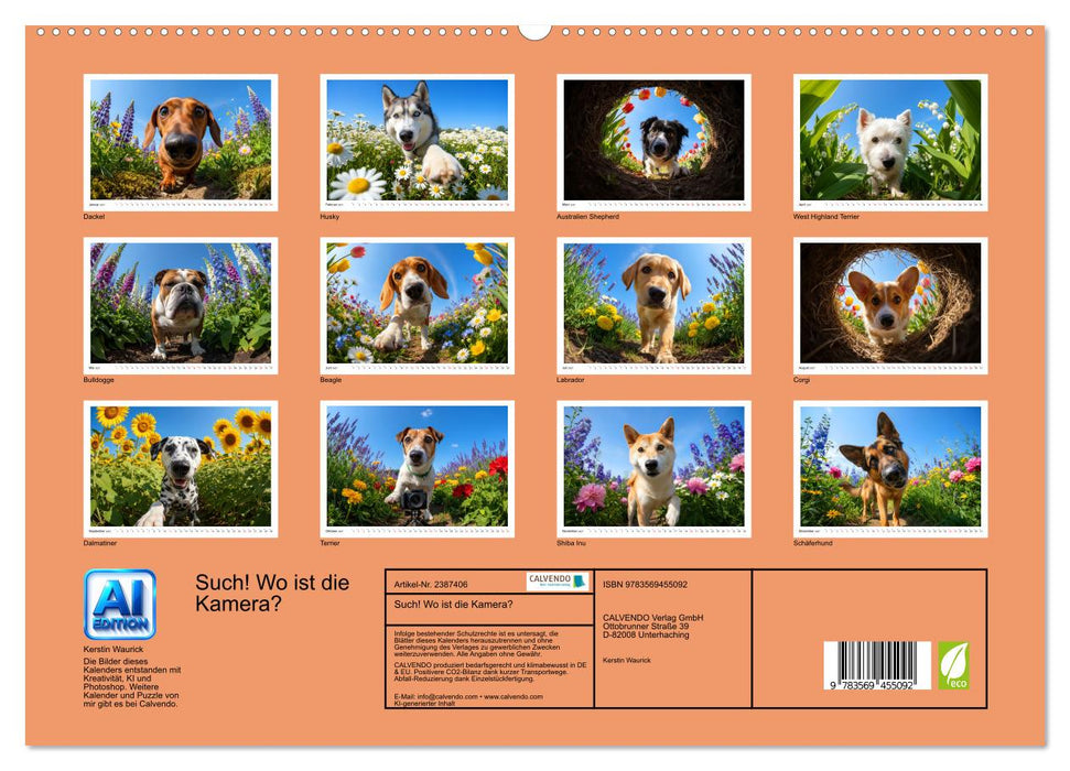 Such! Wo ist die Kamera? (CALVENDO Premium Wandkalender 2027)
