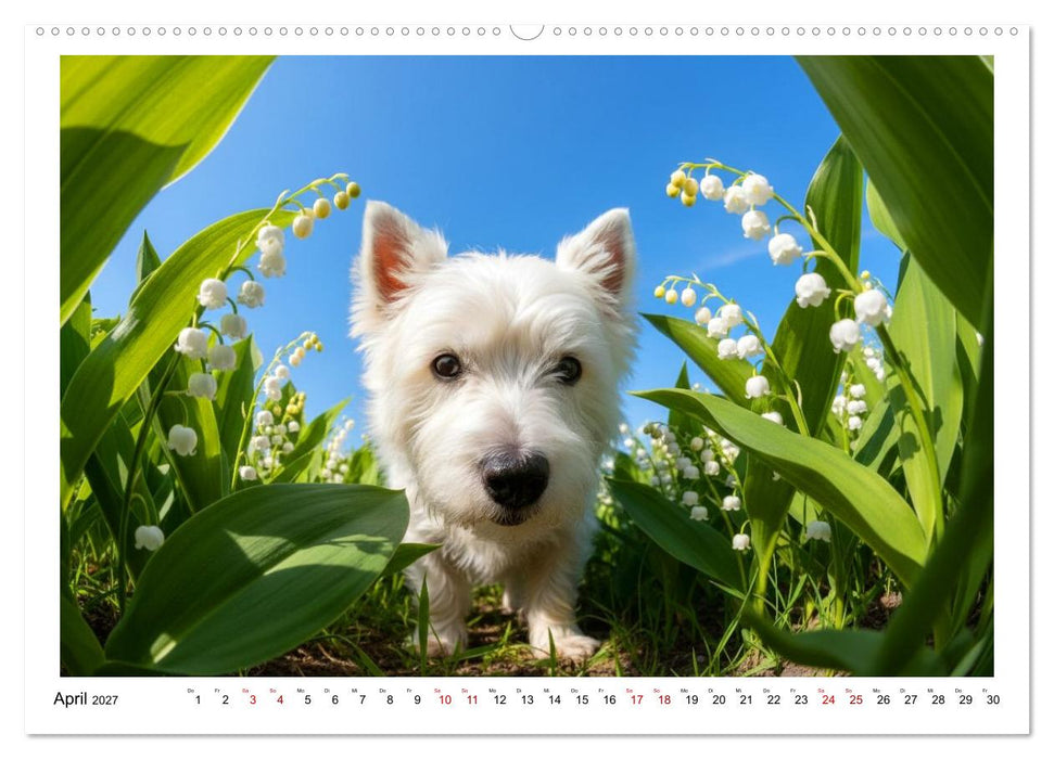 Such! Wo ist die Kamera? (CALVENDO Premium Wandkalender 2027)