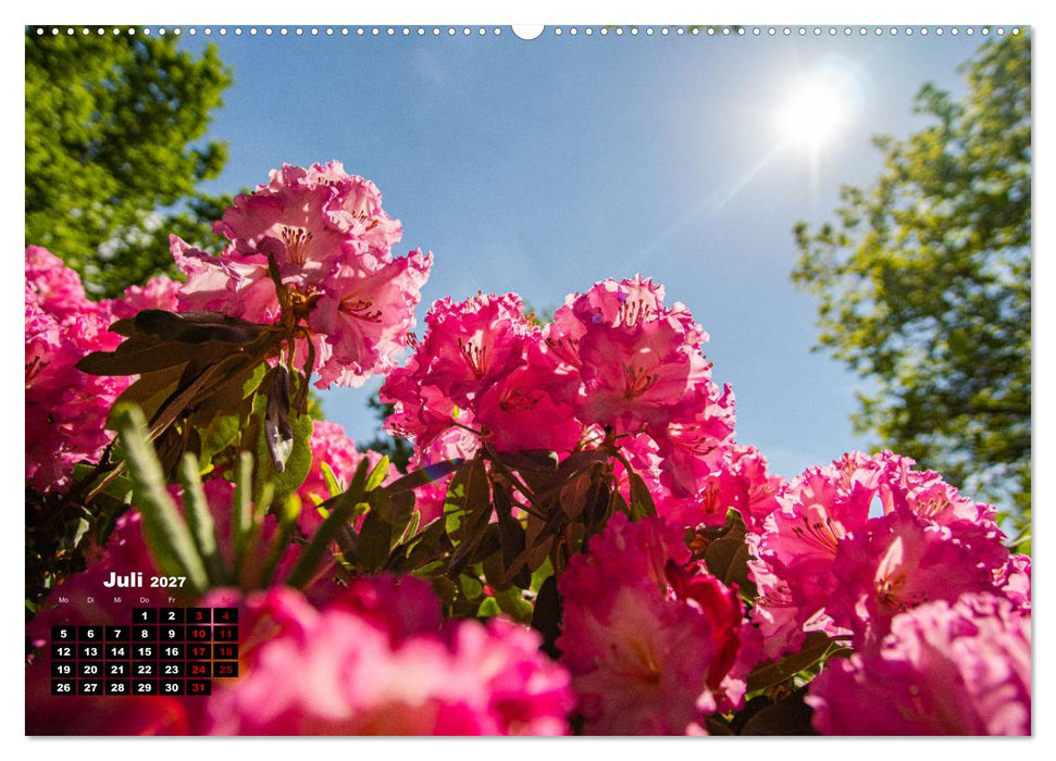 Bremen Fotokalender 2027 (CALVENDO Premium Wandkalender 2027)