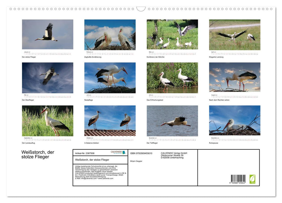 Weißstorch, der stolze Flieger (CALVENDO Wandkalender 2027)