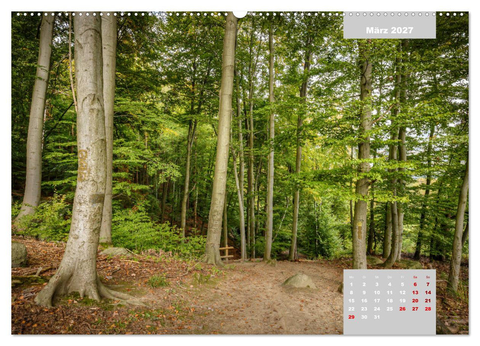 Der Odenwald und das Felsenmeer (CALVENDO Premium Wandkalender 2027)