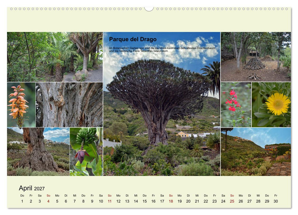 Zauberhaftes Teneriffa (CALVENDO Wandkalender 2027)
