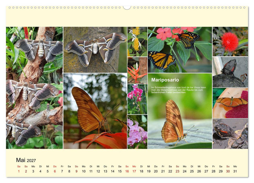 Zauberhaftes Teneriffa (CALVENDO Wandkalender 2027)