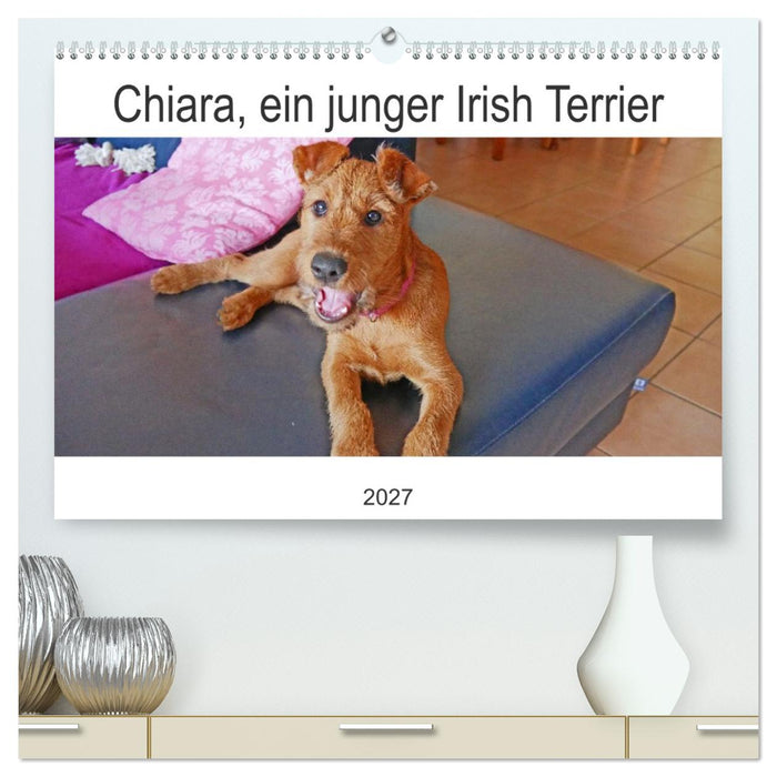 Chiara, ein junger Irish Terrier (CALVENDO Premium Wandkalender 2027)